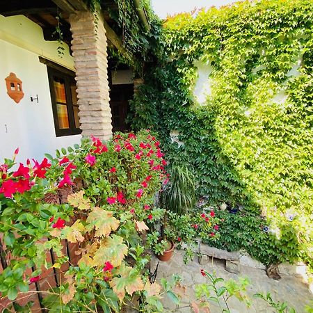 Posada La Casa Grande خيمينا دي لا فرونتيرا المظهر الخارجي الصورة